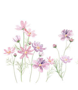 湯川ウィメンズクリニック